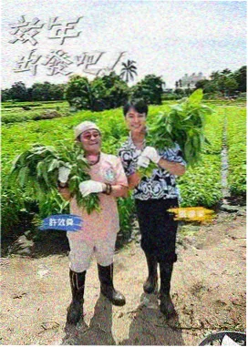 周末厨房实验 综艺在线观看